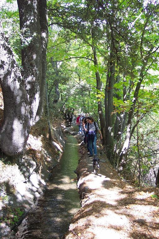 Alojamiento Rural Mirador Del Avellano Alpujarra De La Sierra Eksteriør bilde