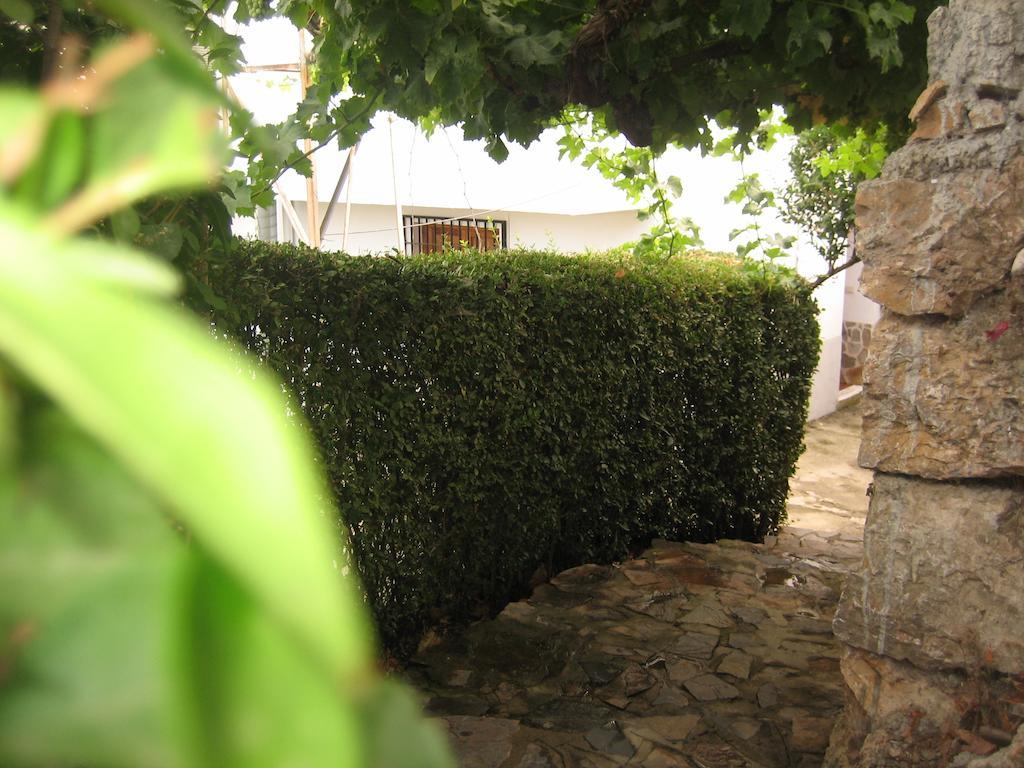Alojamiento Rural Mirador Del Avellano Alpujarra De La Sierra Eksteriør bilde